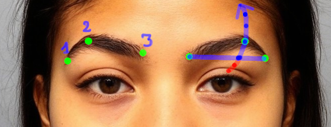 Anime eyebrows drawing - defining points