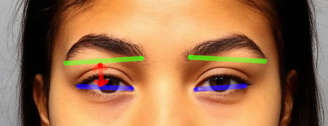 Anime eyebrows drawing - base lines of eyes and eyebrows